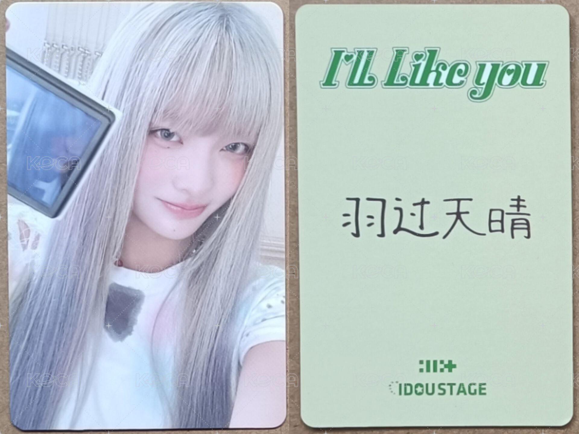 羽過天晴