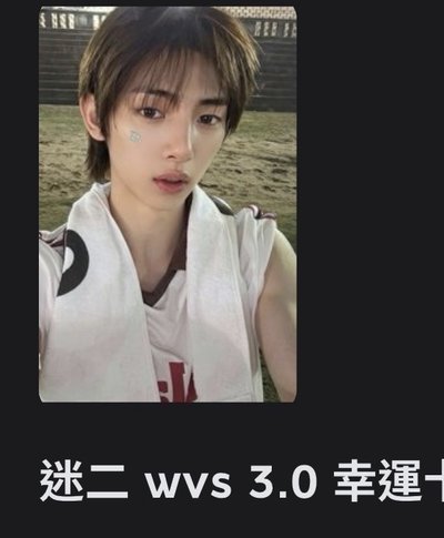 豬咪