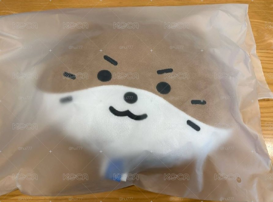 MINITEEN 抱枕
