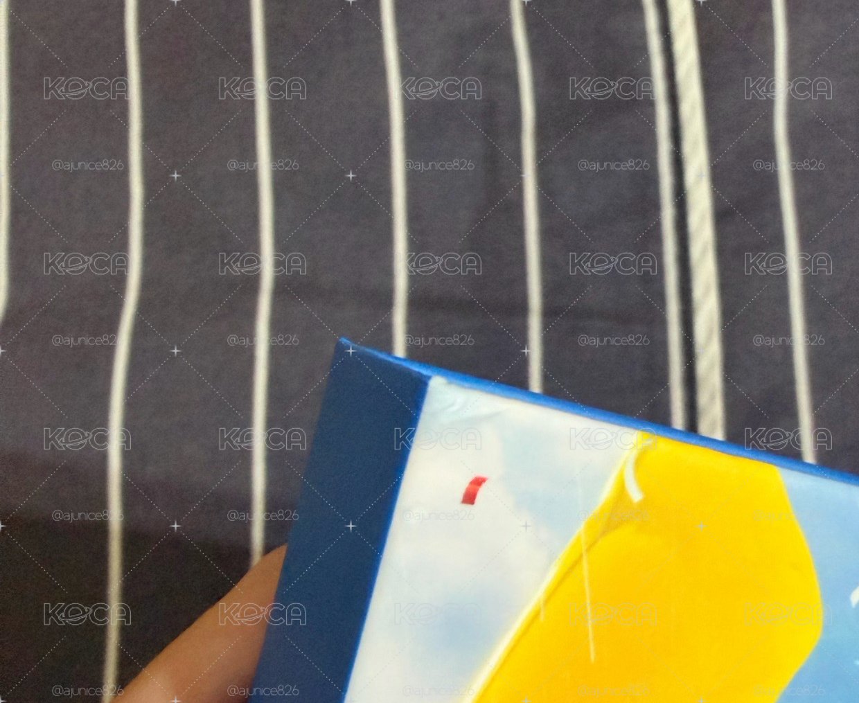 Mini11克拉盤-秀全專