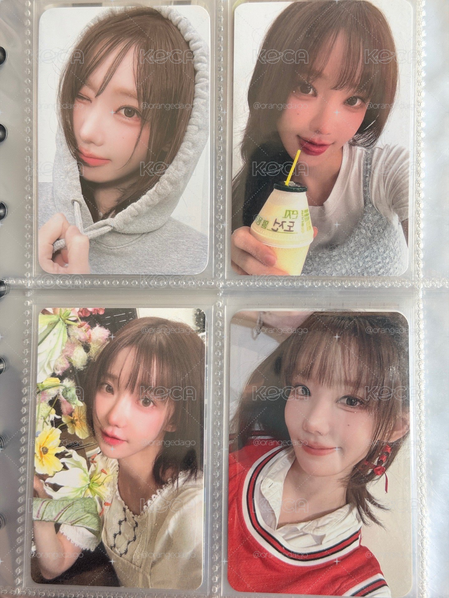 QWER 熱貴