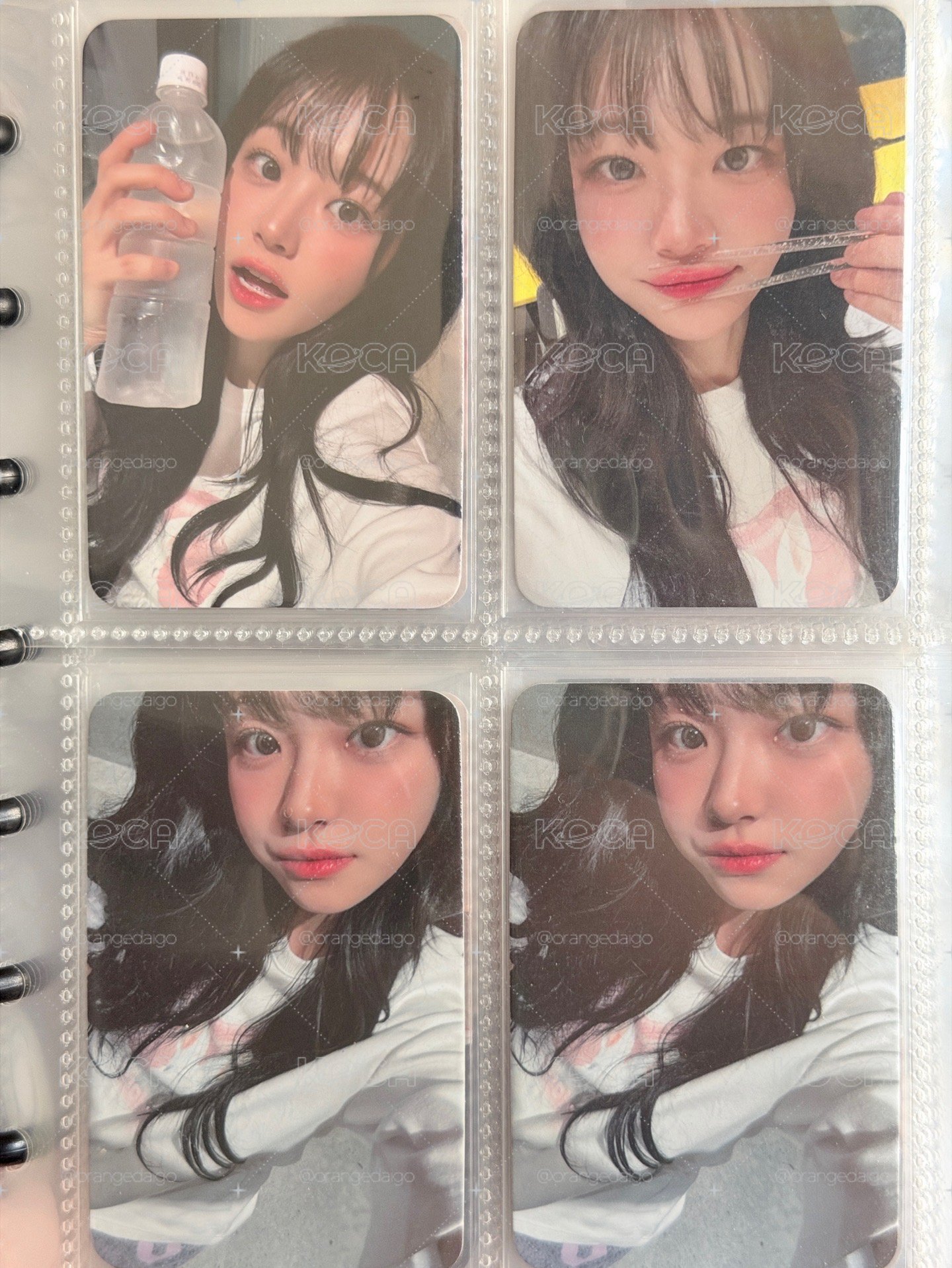 QWER 熱貴