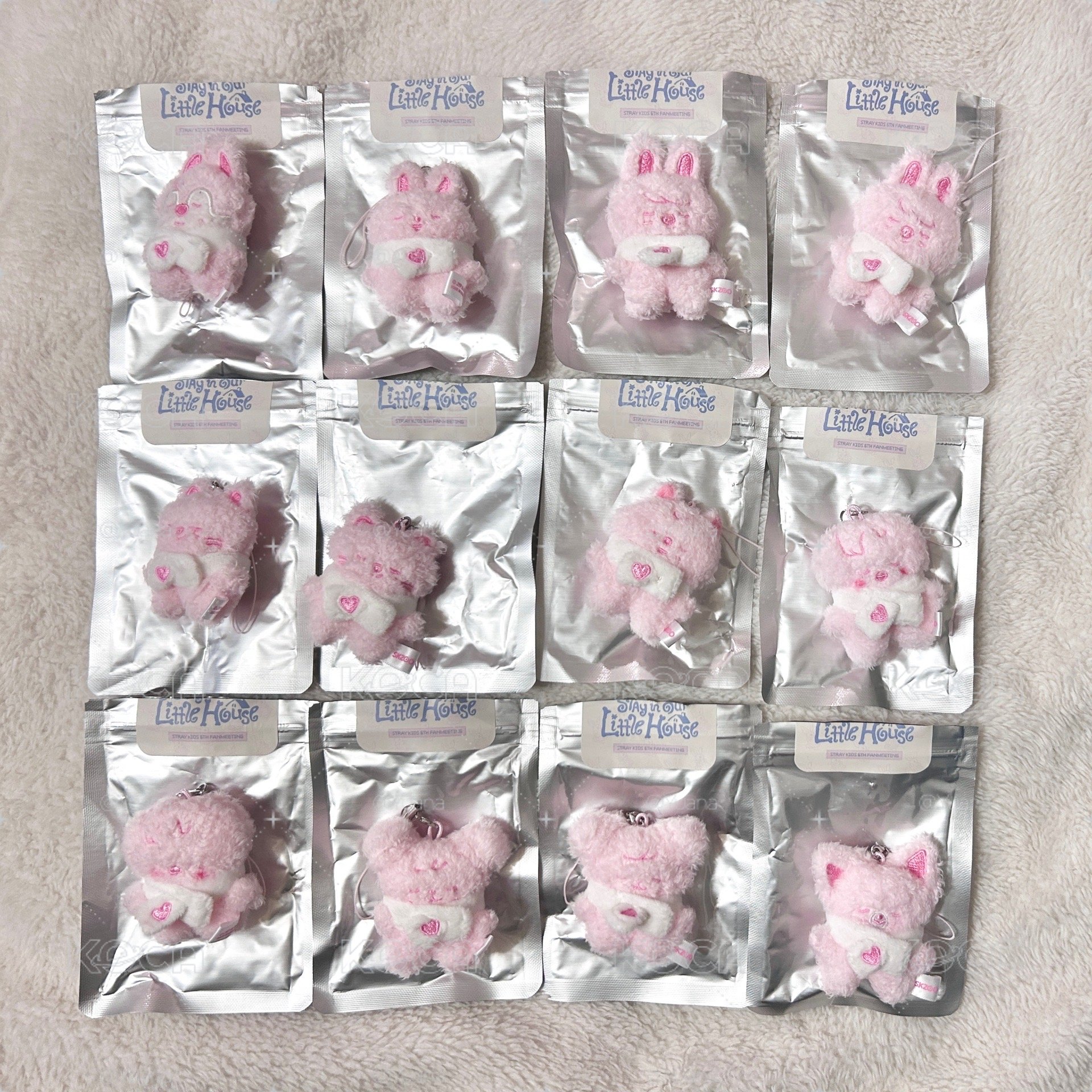 6期飯咪🏠草莓潦草娃