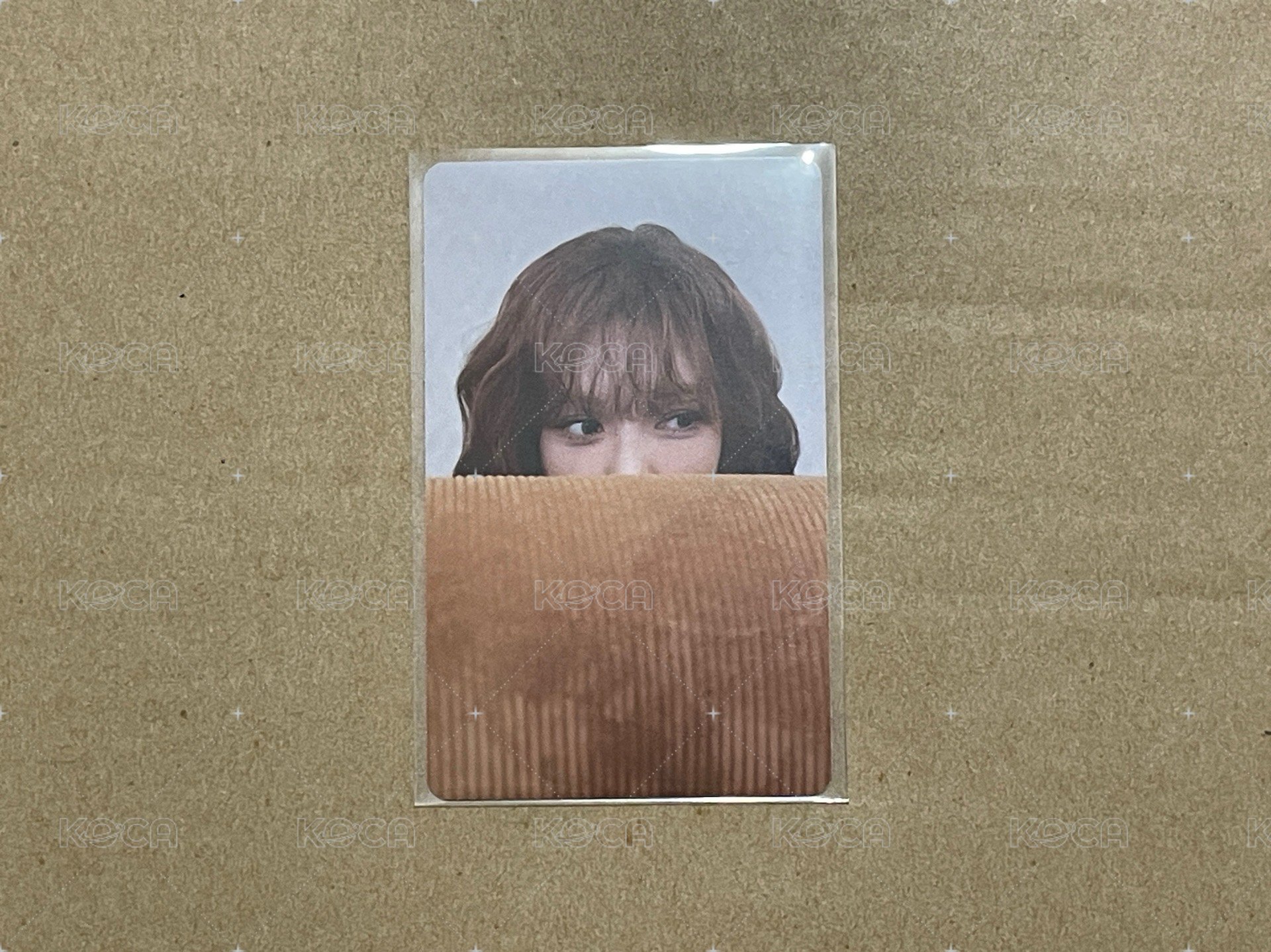 wvs溫