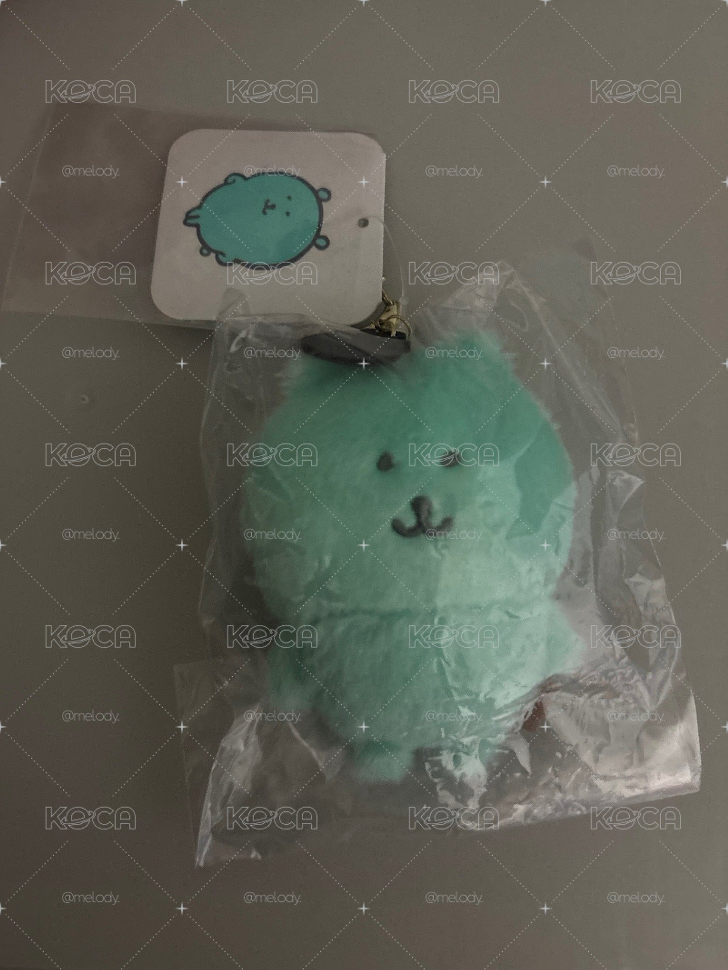 薄荷熊