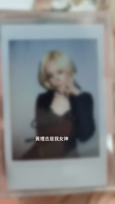 黃禮志未公開