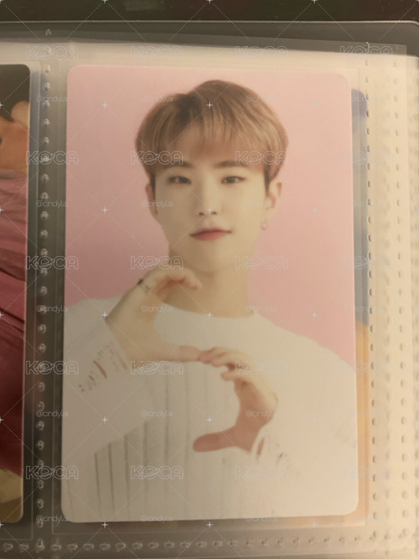 Hoshi cafe小卡