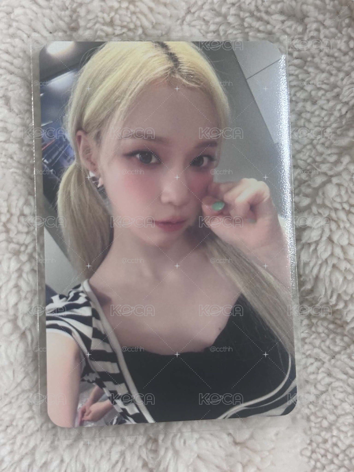sw簽售冬