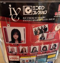 扭蛋指定款