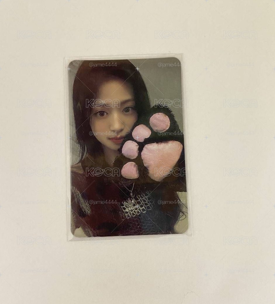 貓爪賢🐾