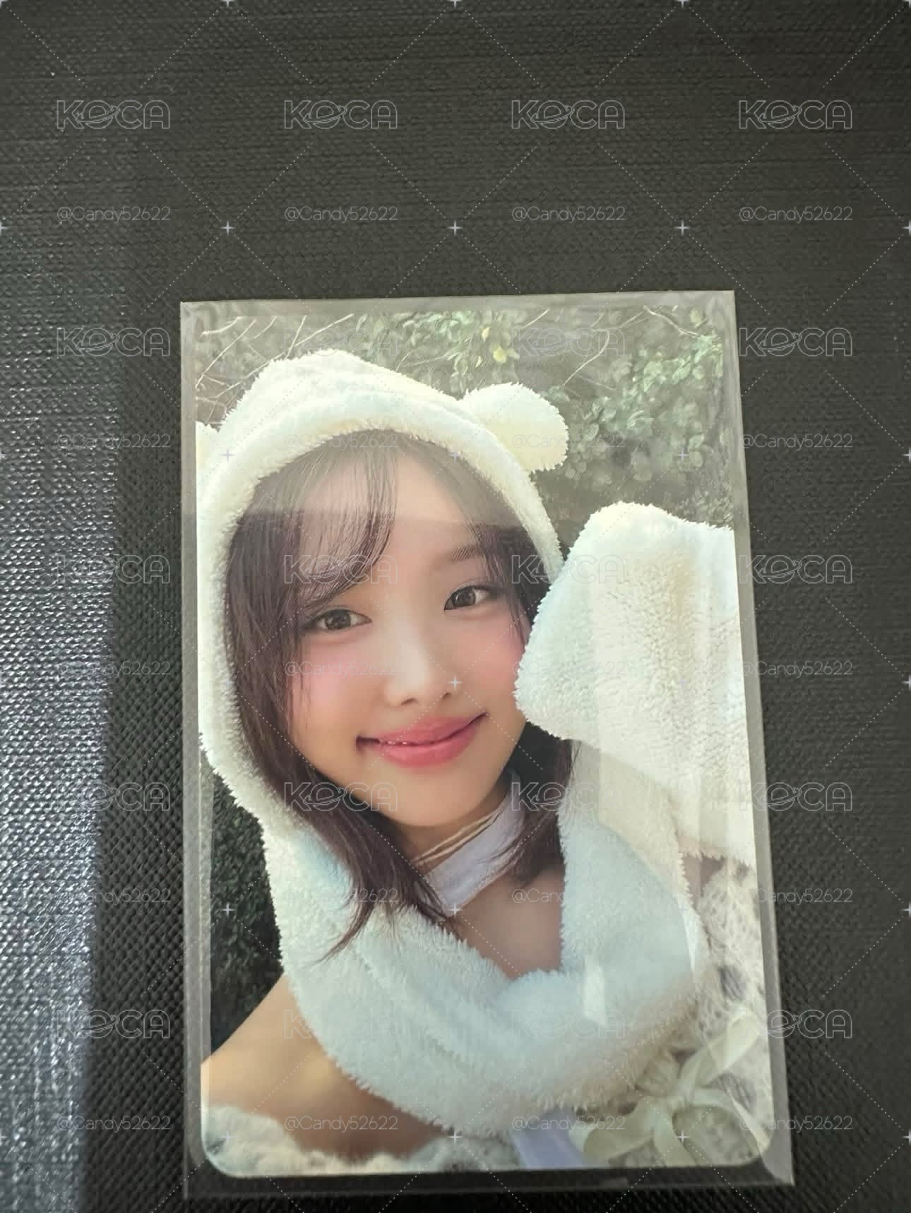 TWICE 娜璉 迷13專輯卡 熊帽娜