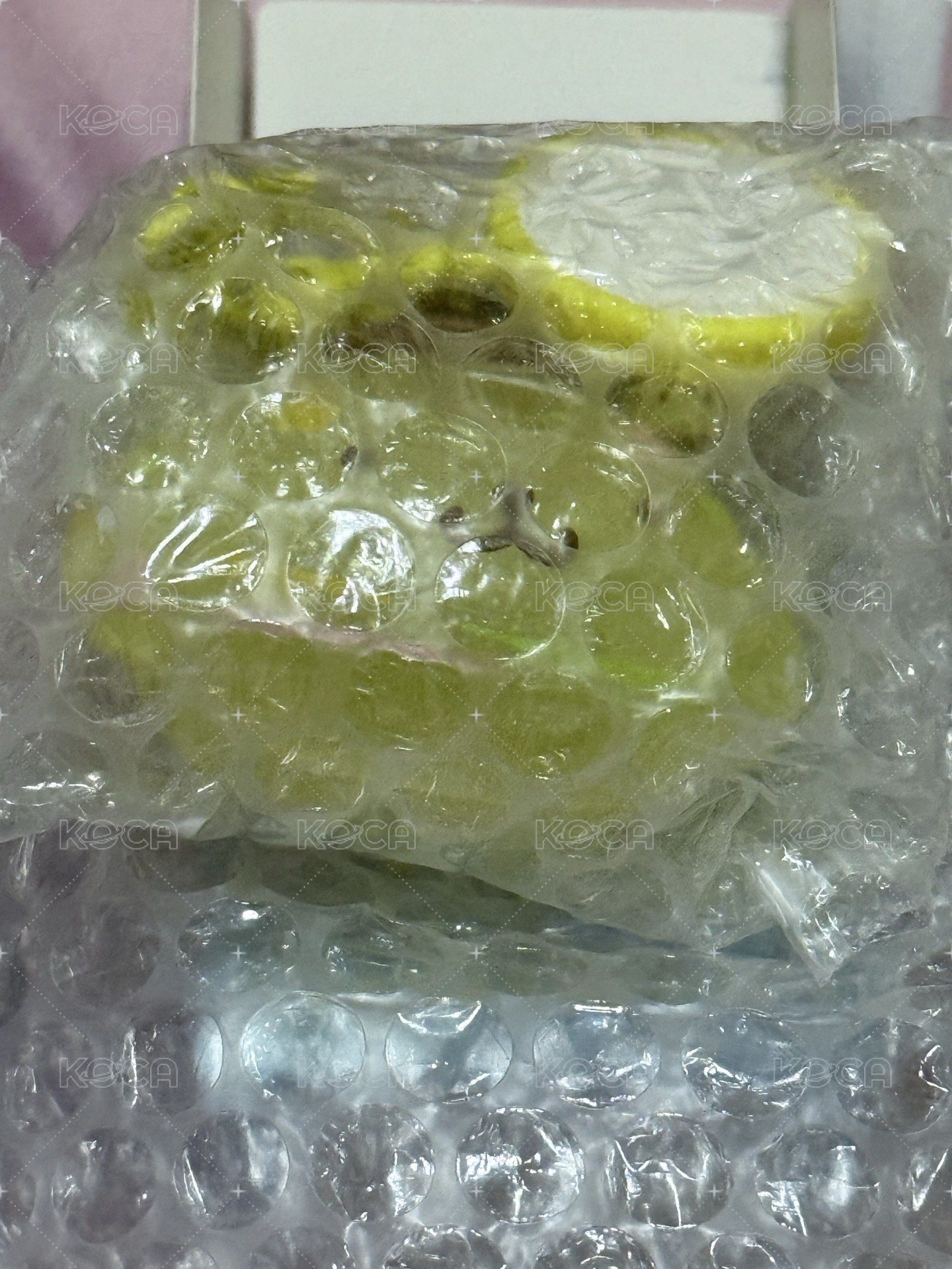 布丁狗