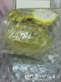 布丁狗