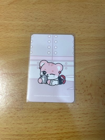 髮圈瑞