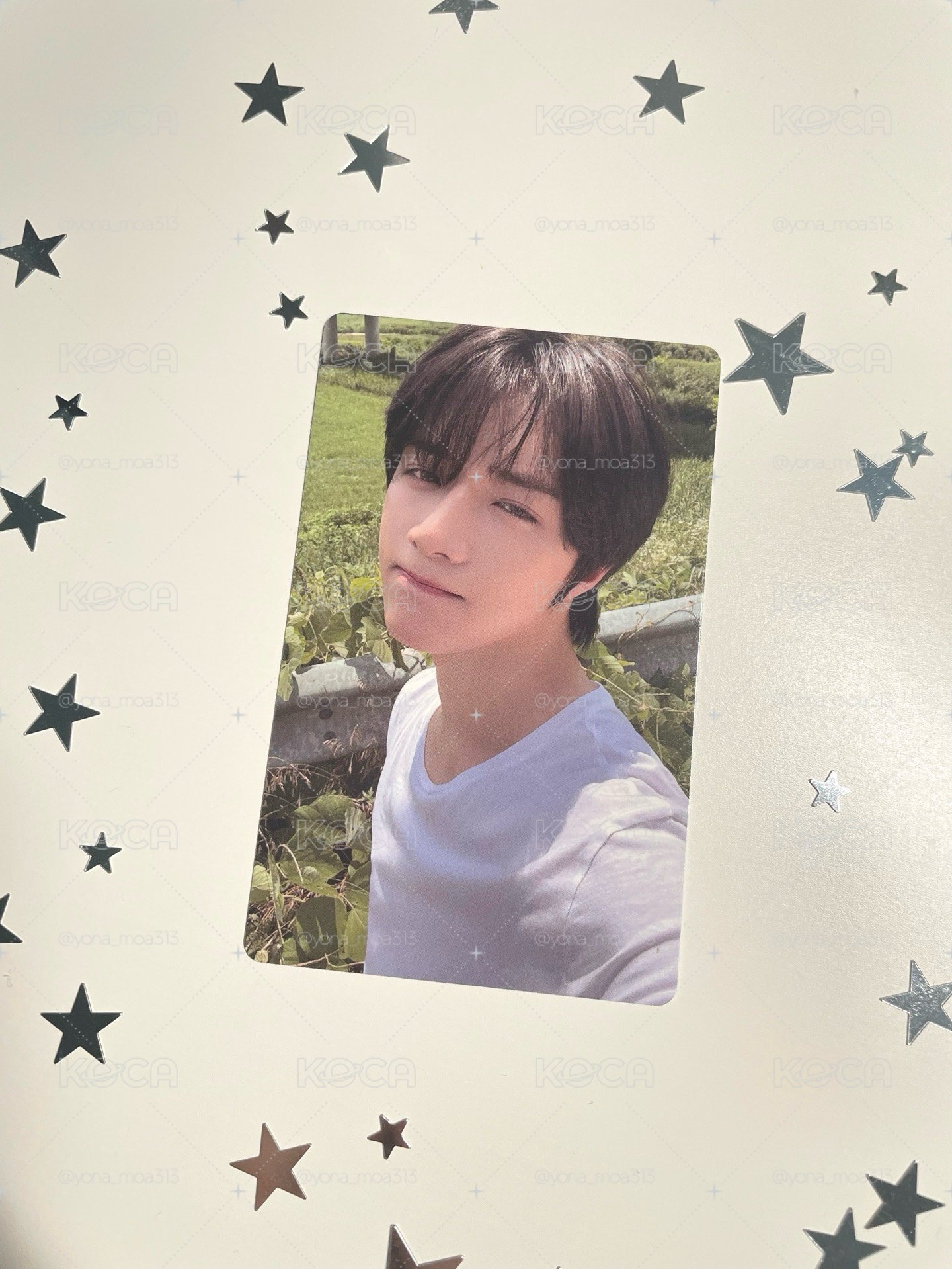 草地圭💫