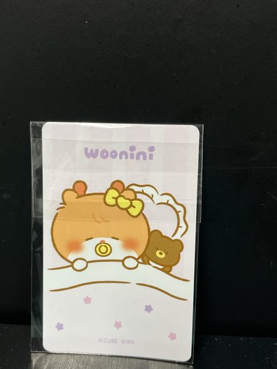 minini baby 吊飾琦娃卡  卡背超Q睡覺woonini