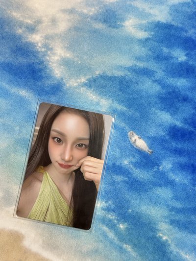 費加羅雨琦2.0雜誌卡 中文卡背🥰