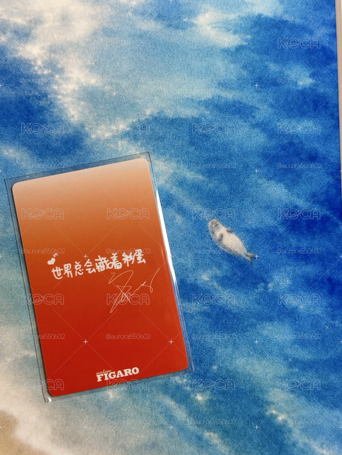 費加羅雨琦2.0雜誌卡 中文卡背🥰