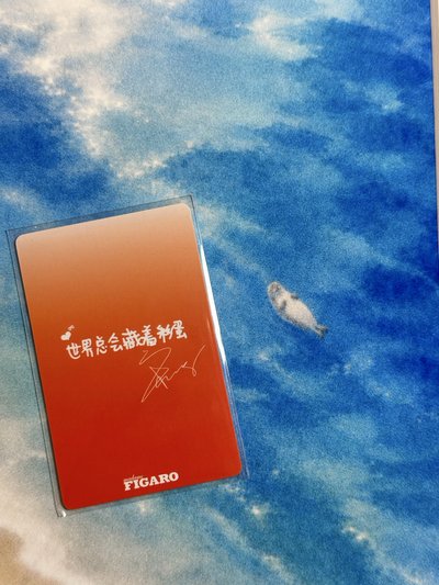 費加羅雨琦2.0雜誌卡 中文卡背🥰