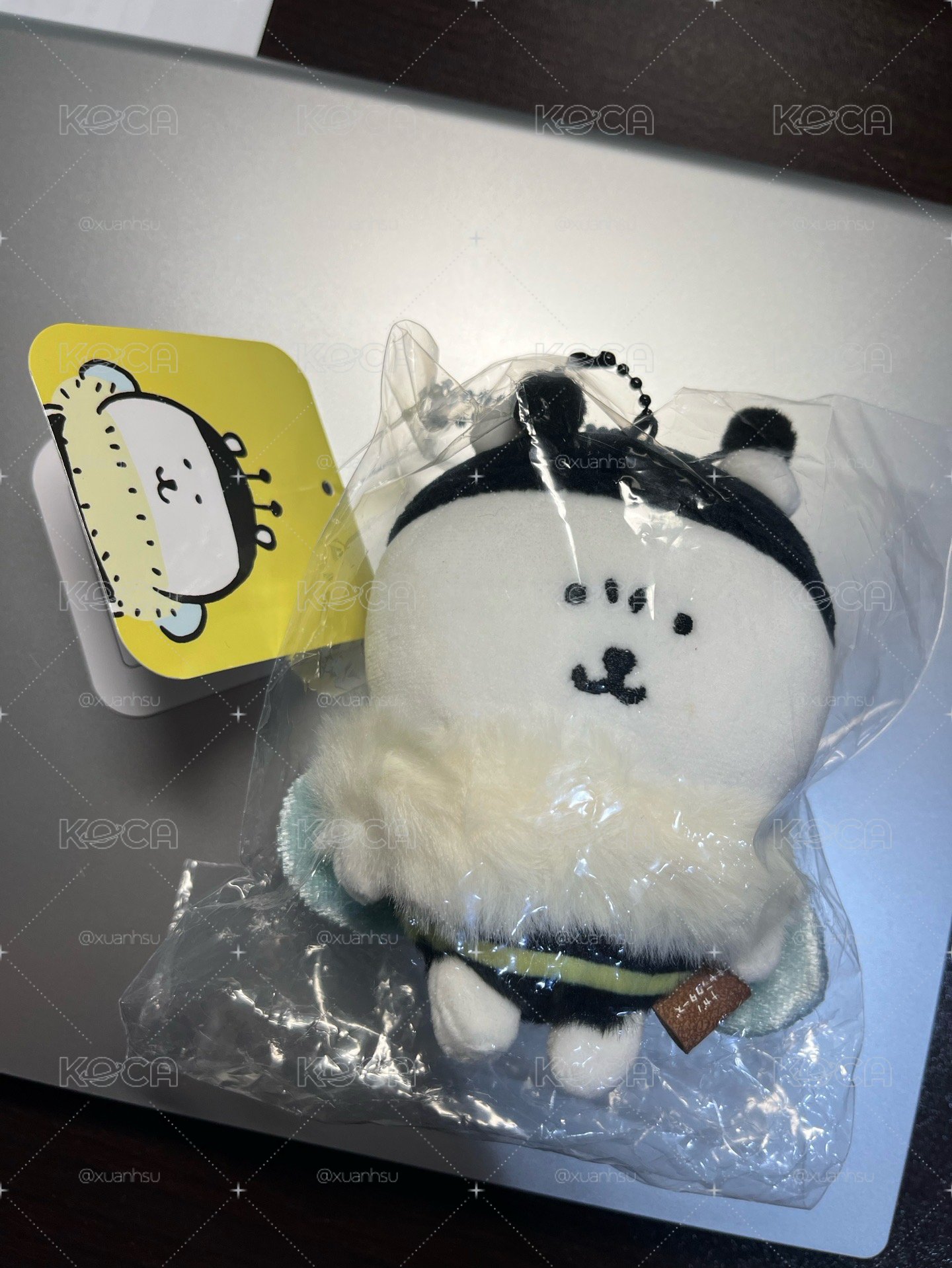 蜜蜂熊