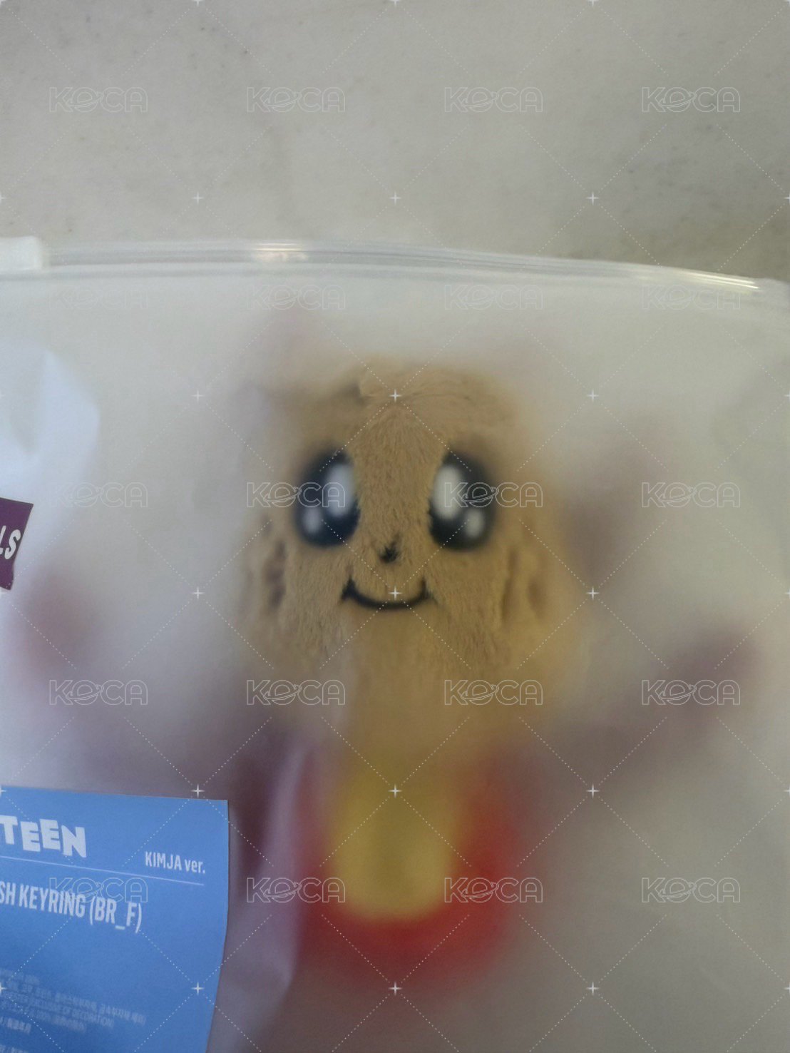 奎