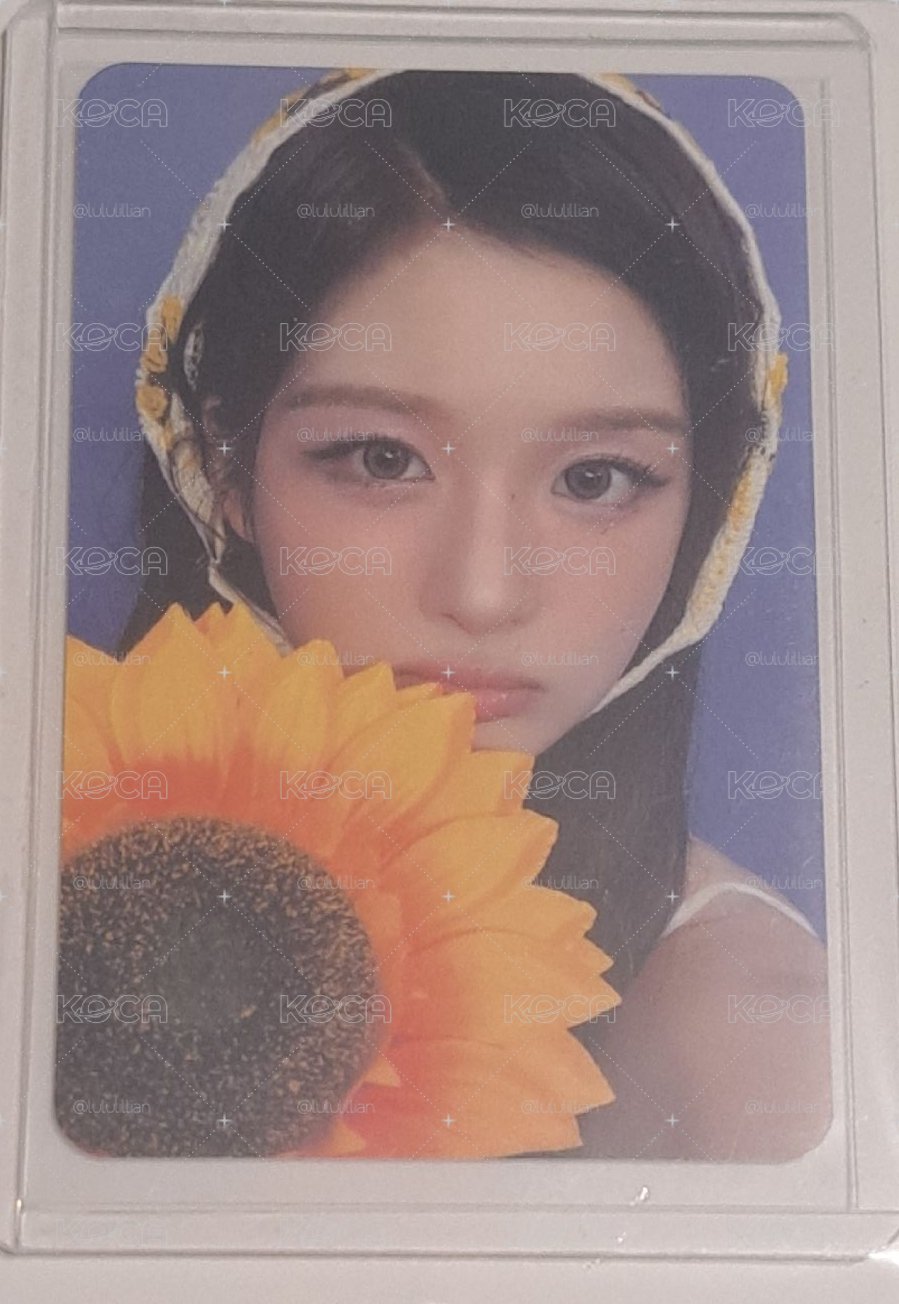 向日葵🌻 薛