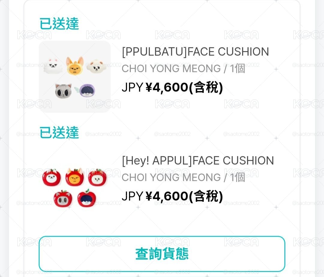 崔勇猛抱枕 (目前在日本倉庫裡了 準備運回)