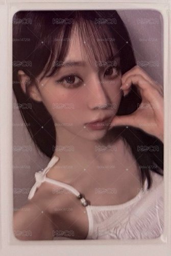 茉莉冬