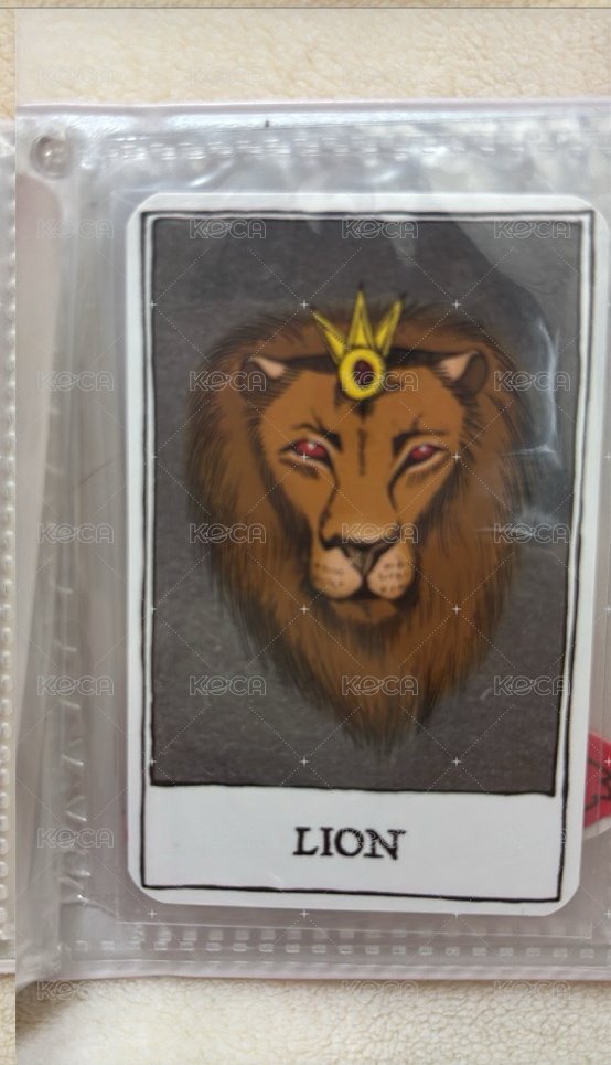 獅子🦁