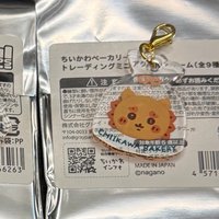 麵包獅薩