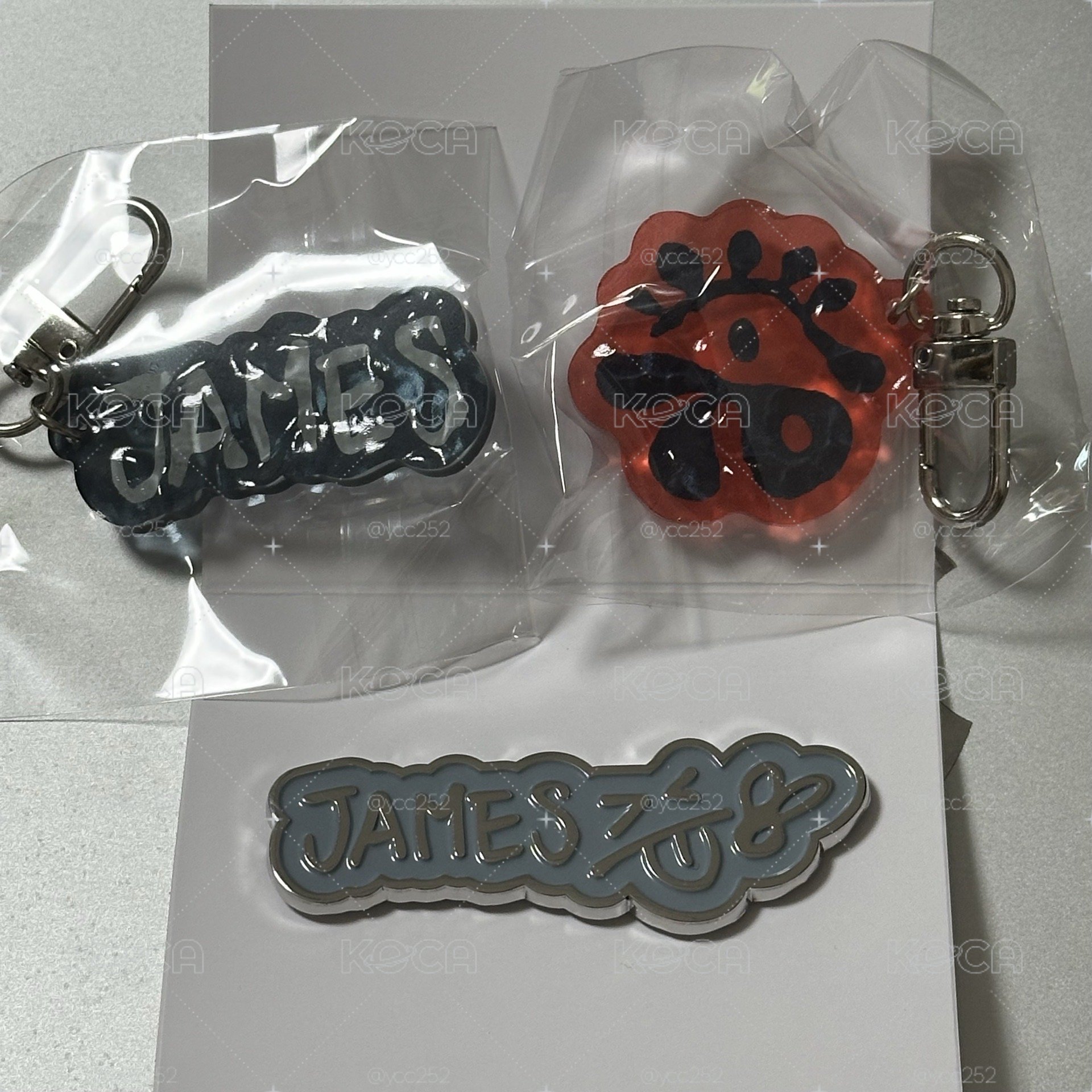 日巡扭蛋 凡 徽章+扭蛋（凡+紅logo)