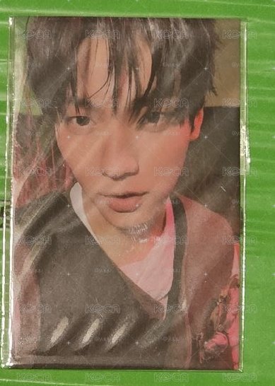 PPULBATU 火龍果 黃春勇猛栗嘻哼啊寧 買三隻送滿額卡彬