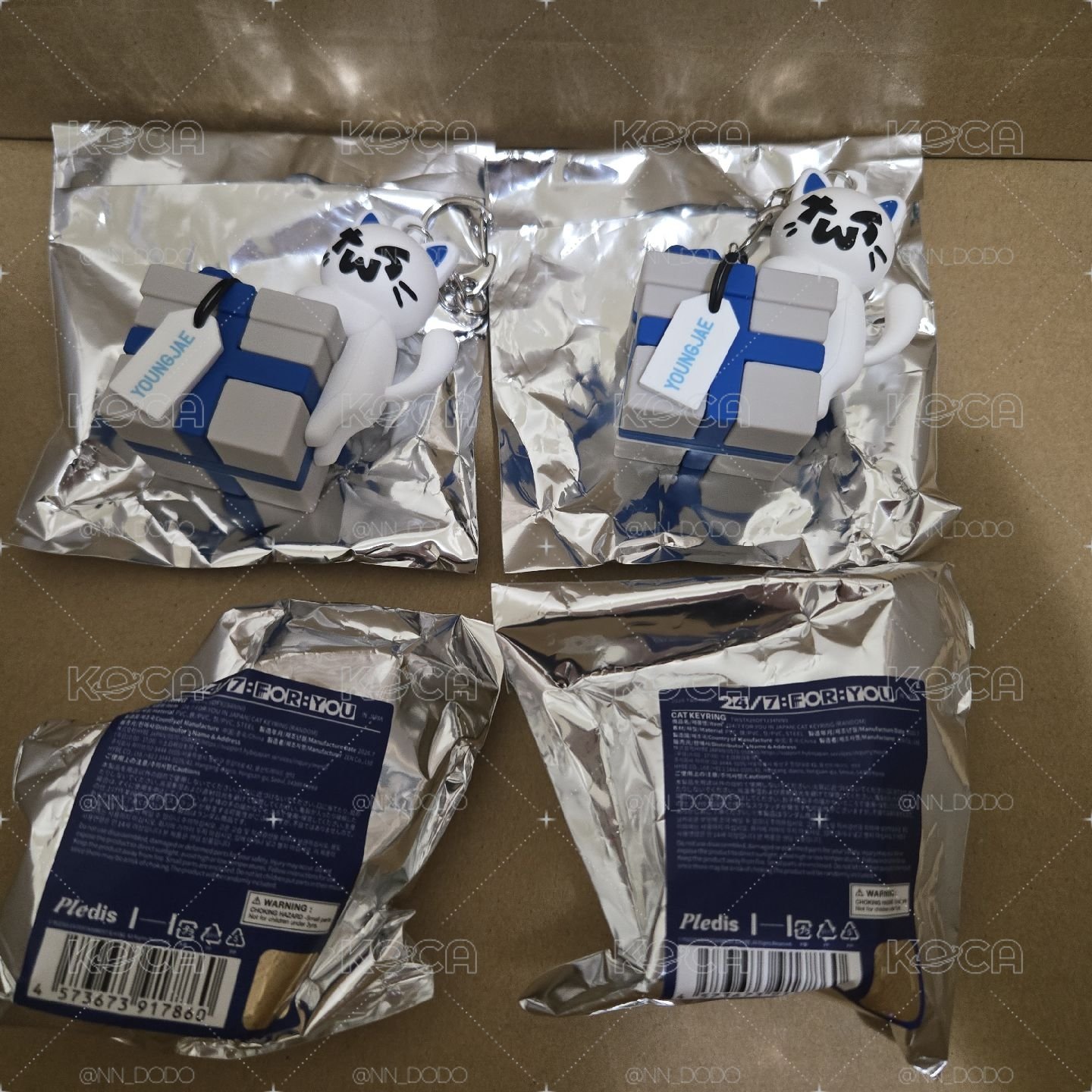 日巡 禮物盒貓