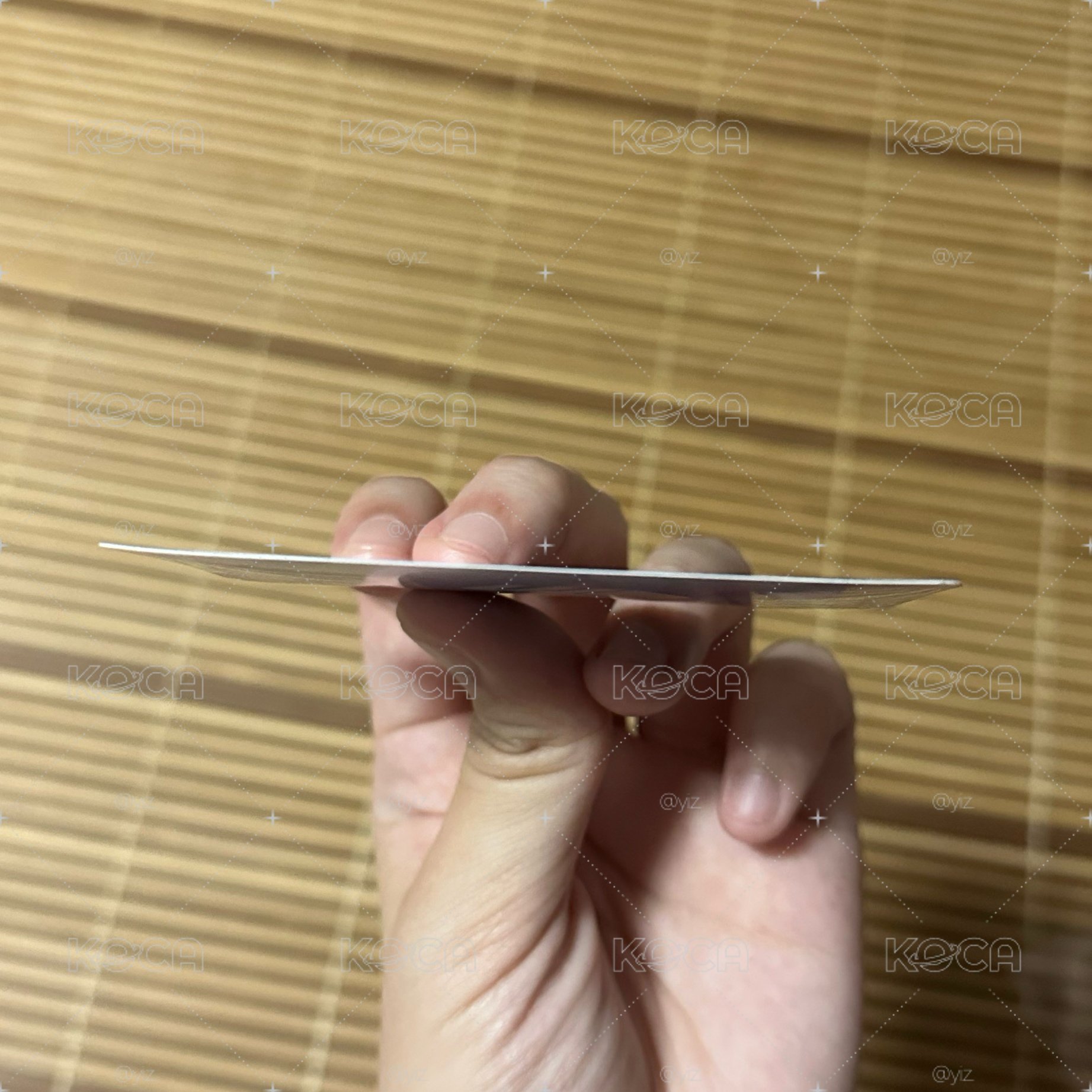 &TEAM MAKI 風吹狗毛