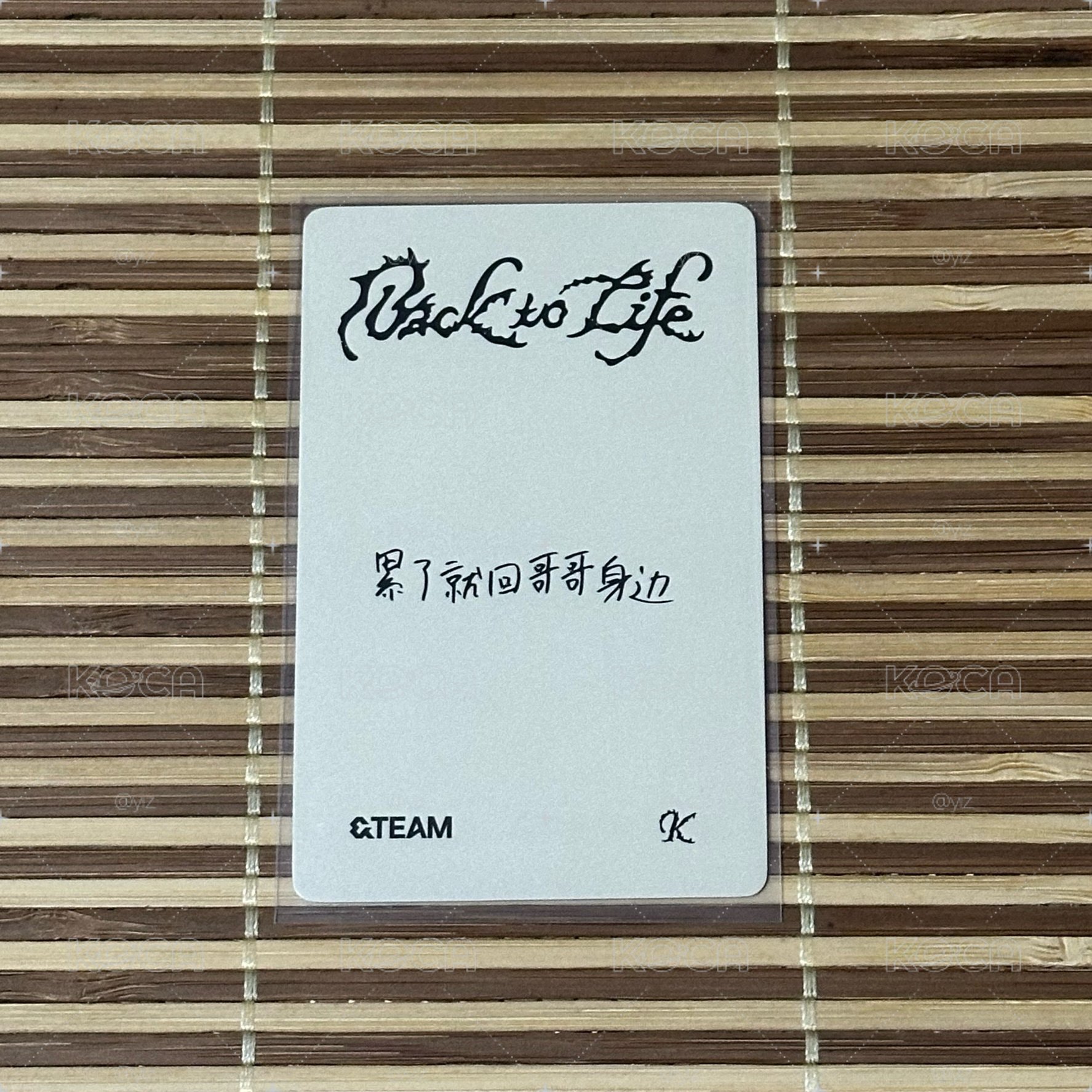 &TEAM K 中背 累了就回哥哥身邊