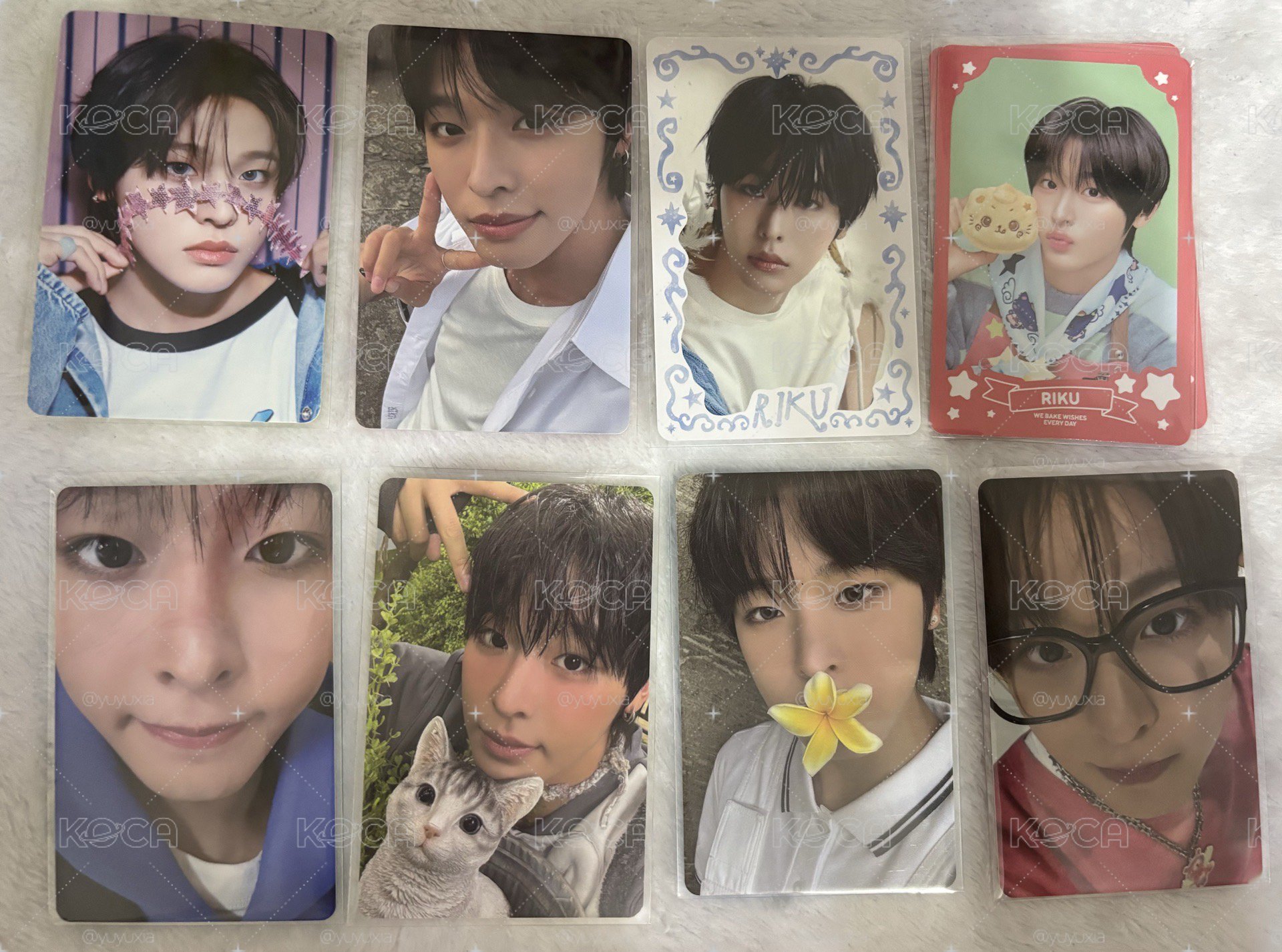 Riku 小卡