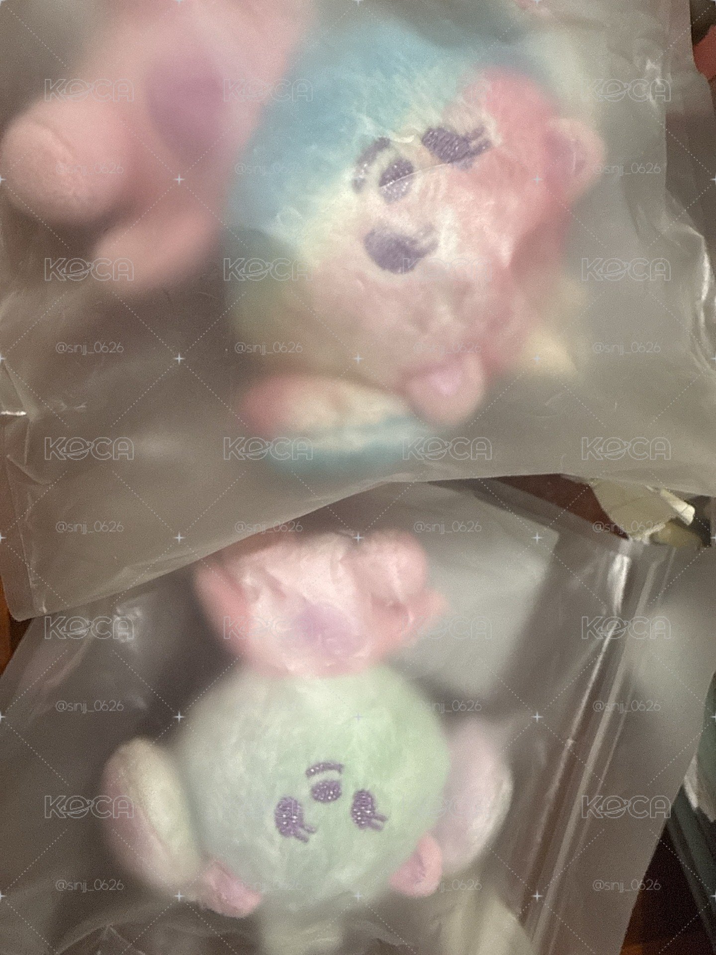 2隻
