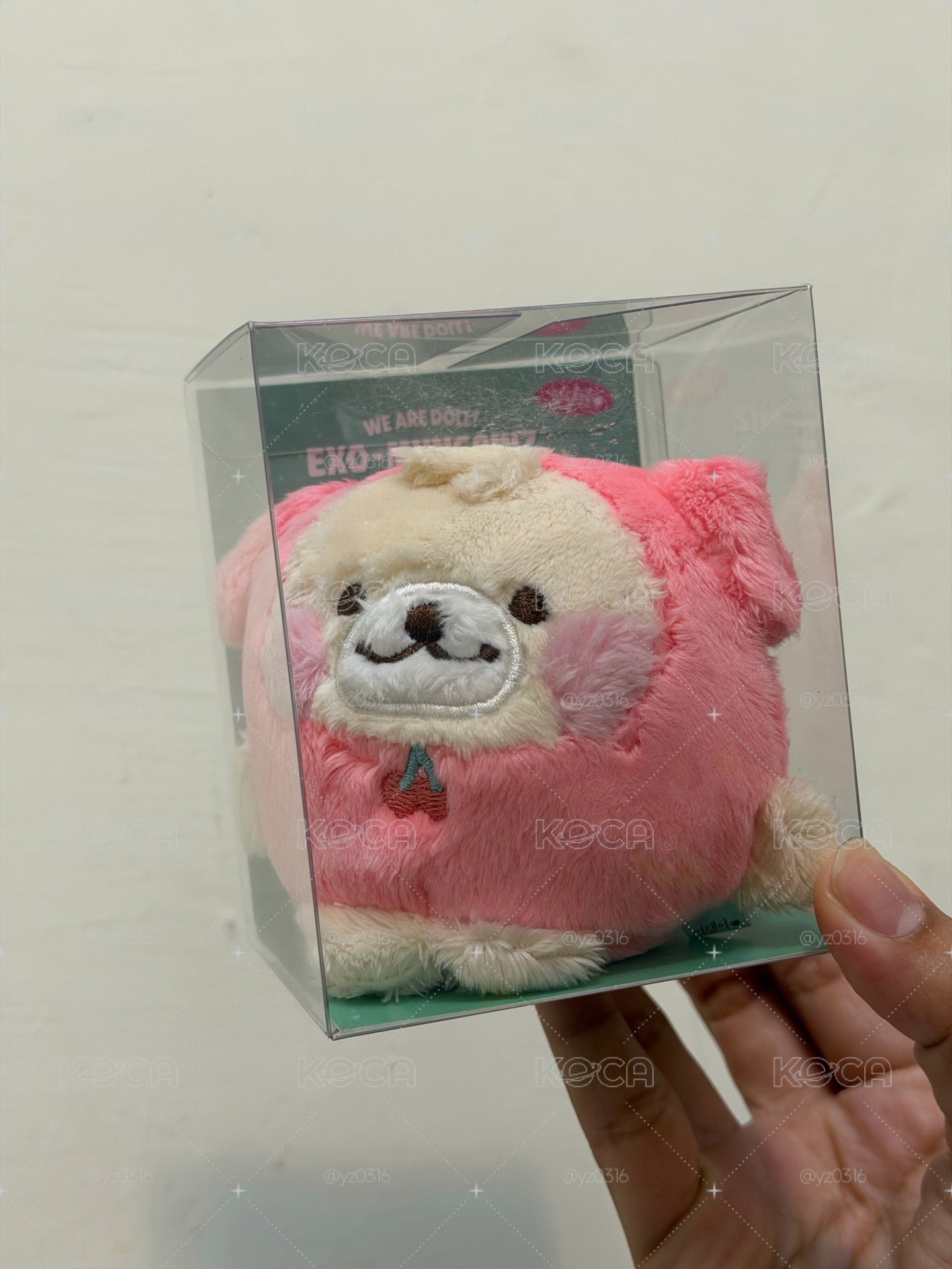 燦壓力球🍒
