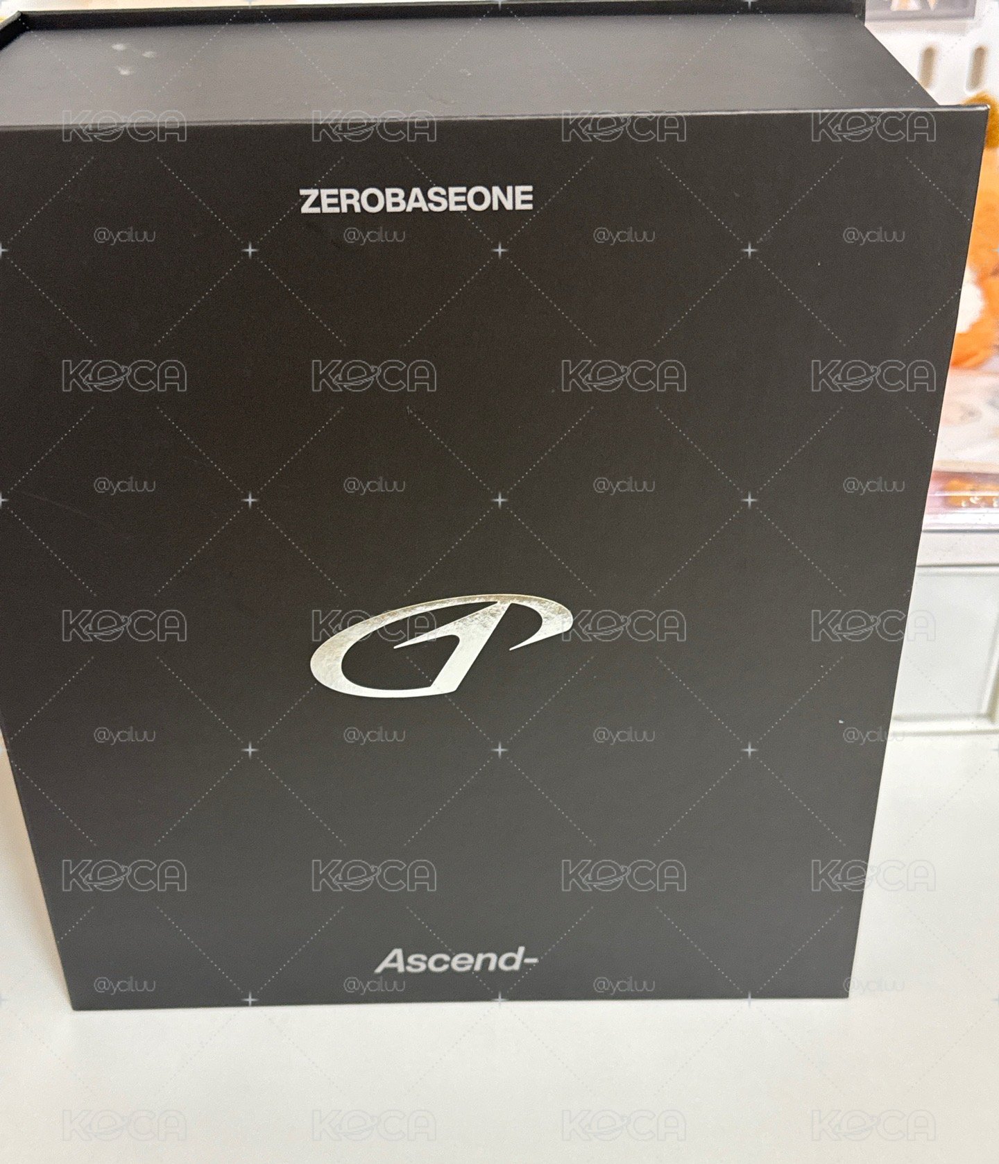 修飾品架（僅拆檢）