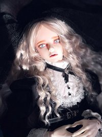 Oli