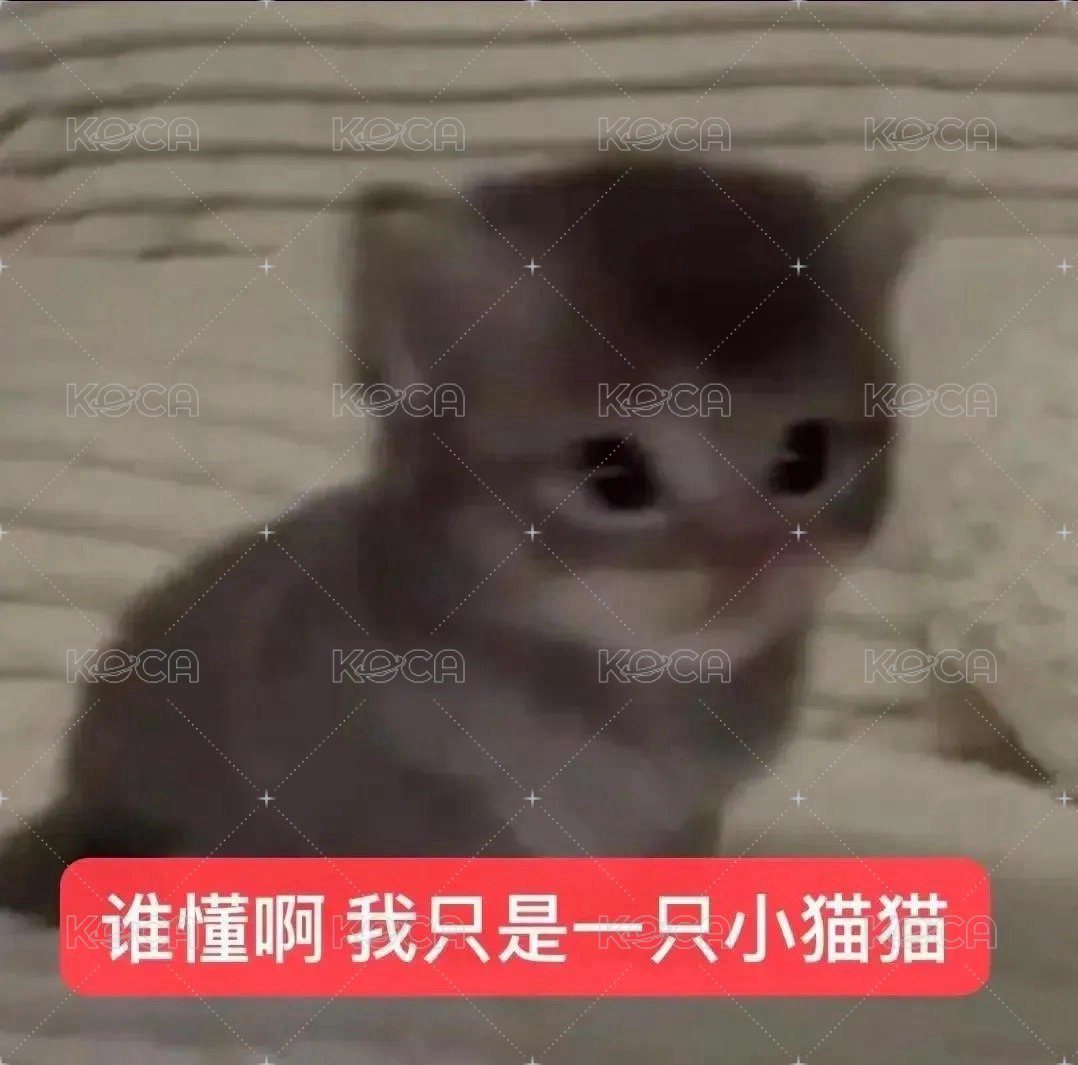 兩張帶走 大佬我愛你
