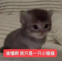 兩張帶走 大佬我愛你