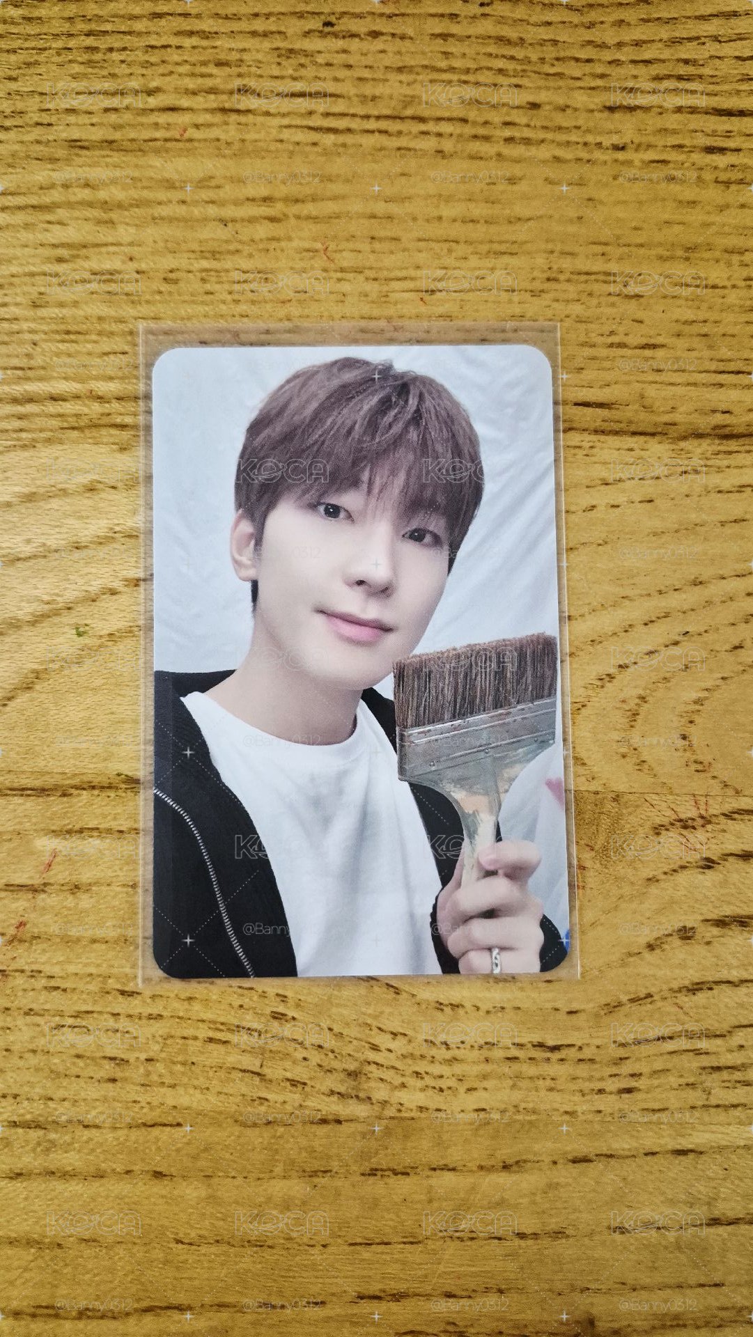 Wonwoo 全圓佑 小卡🐱