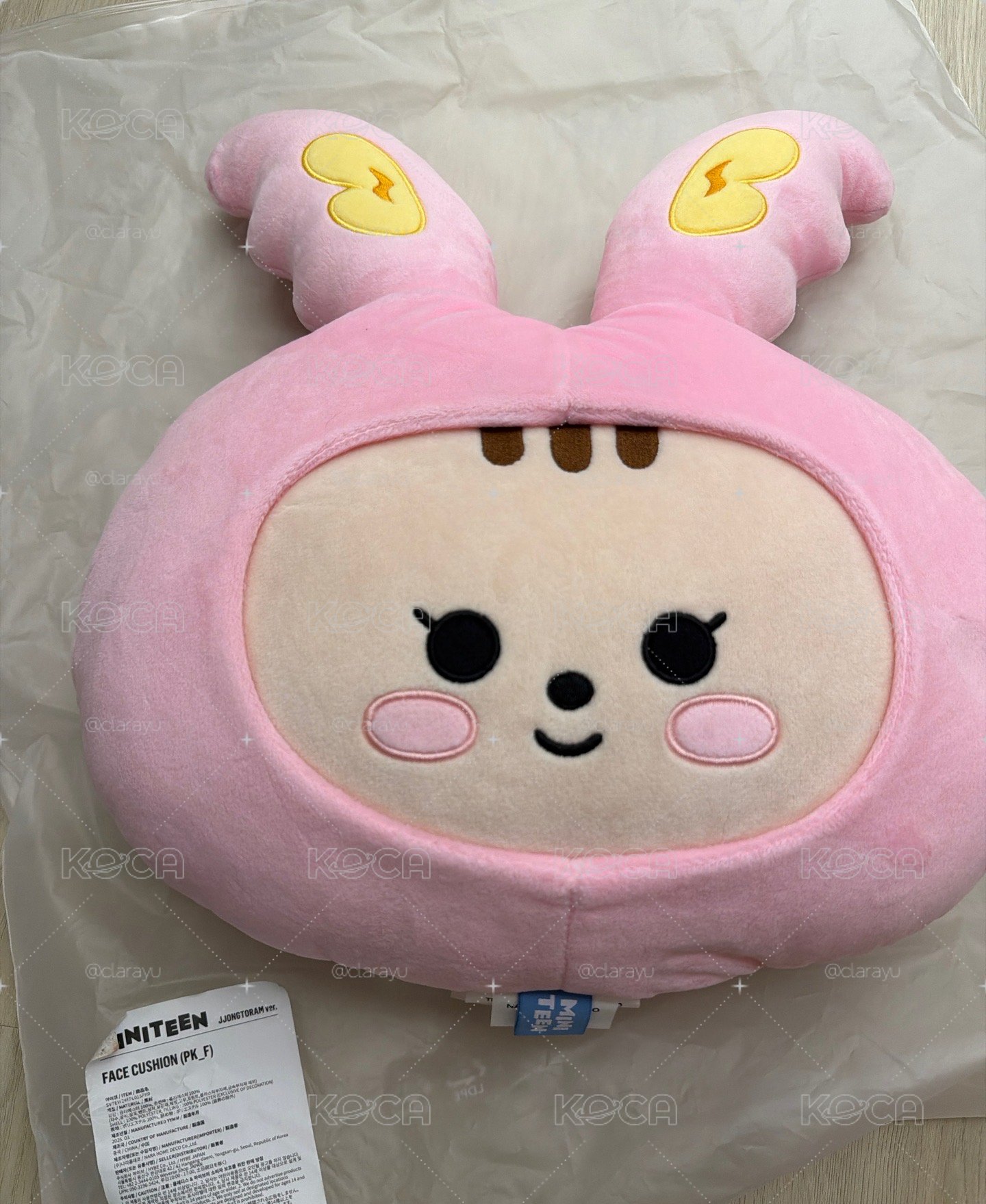 miniteen 🐰 抱枕 全新 有原袋