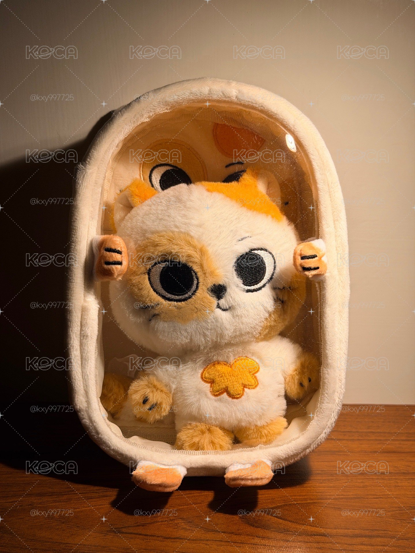 貓比🐈