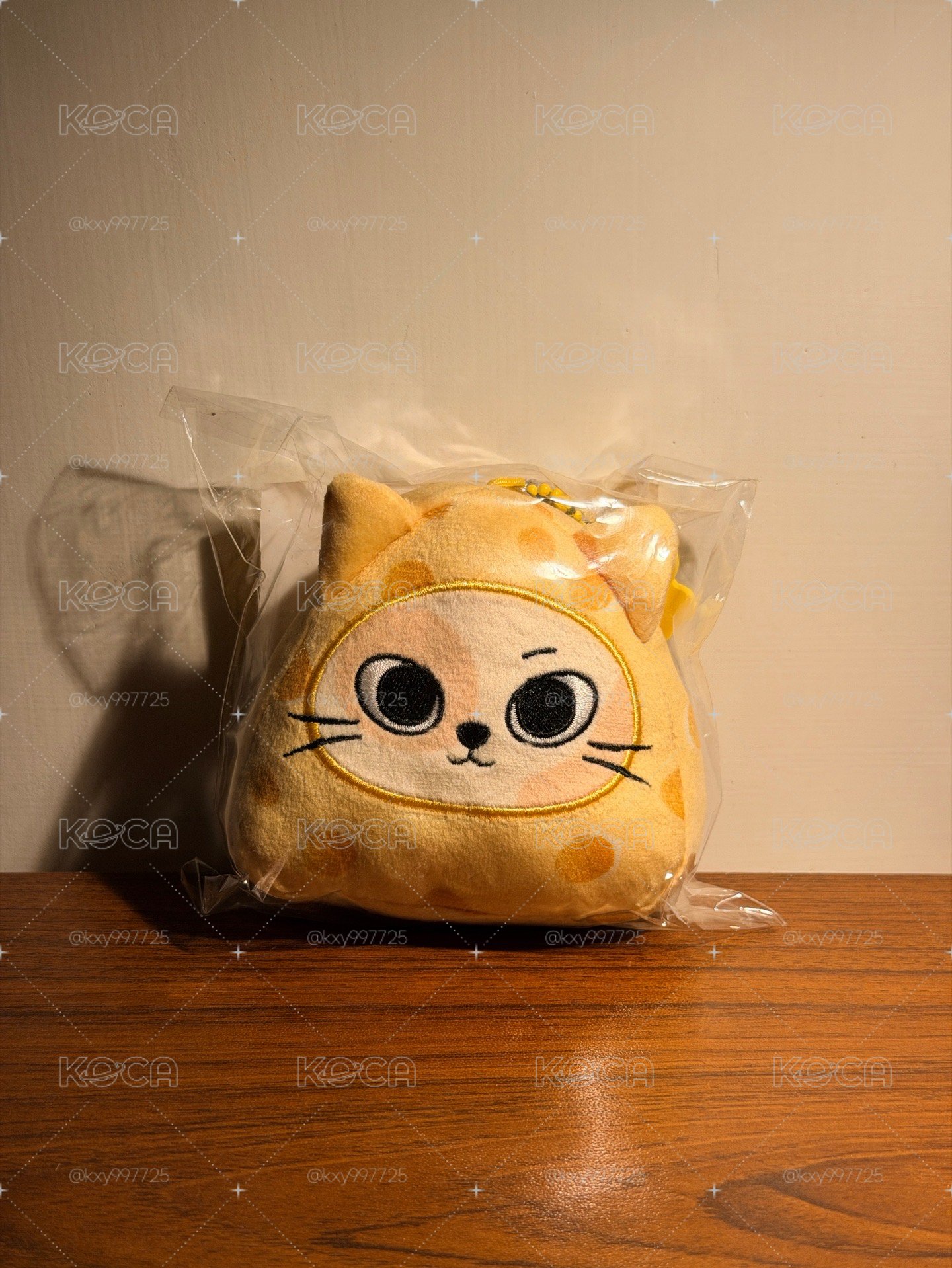 起司貓比