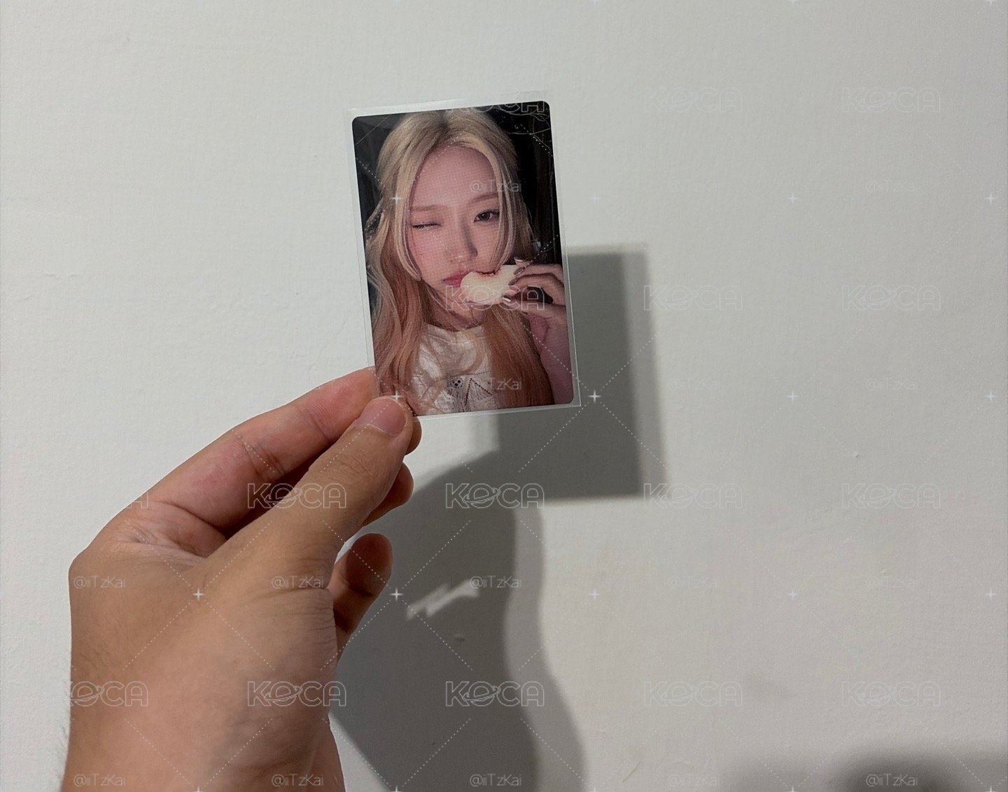 Stella 環球專卡