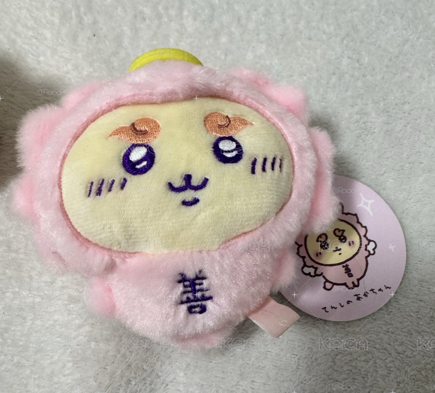 獅薩組（六隻一起出）