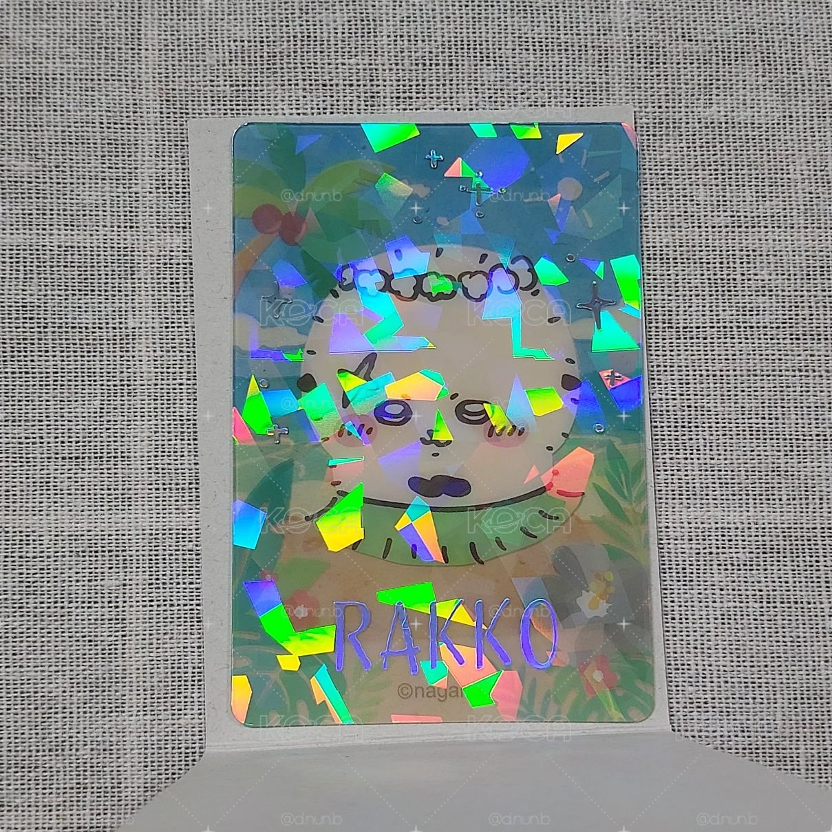海獺 閃卡 人魚島的秘密