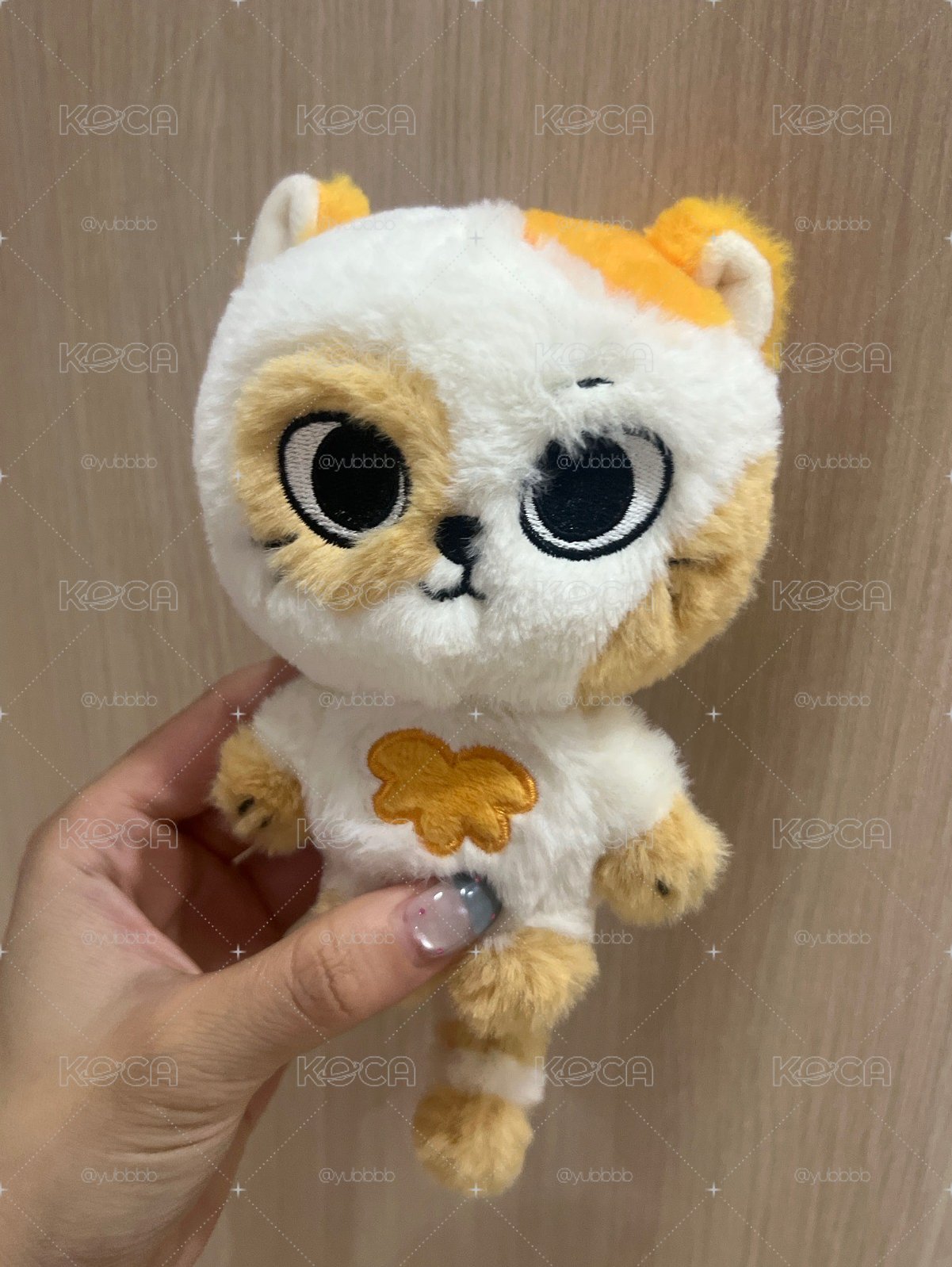 二代原皮 貓比 